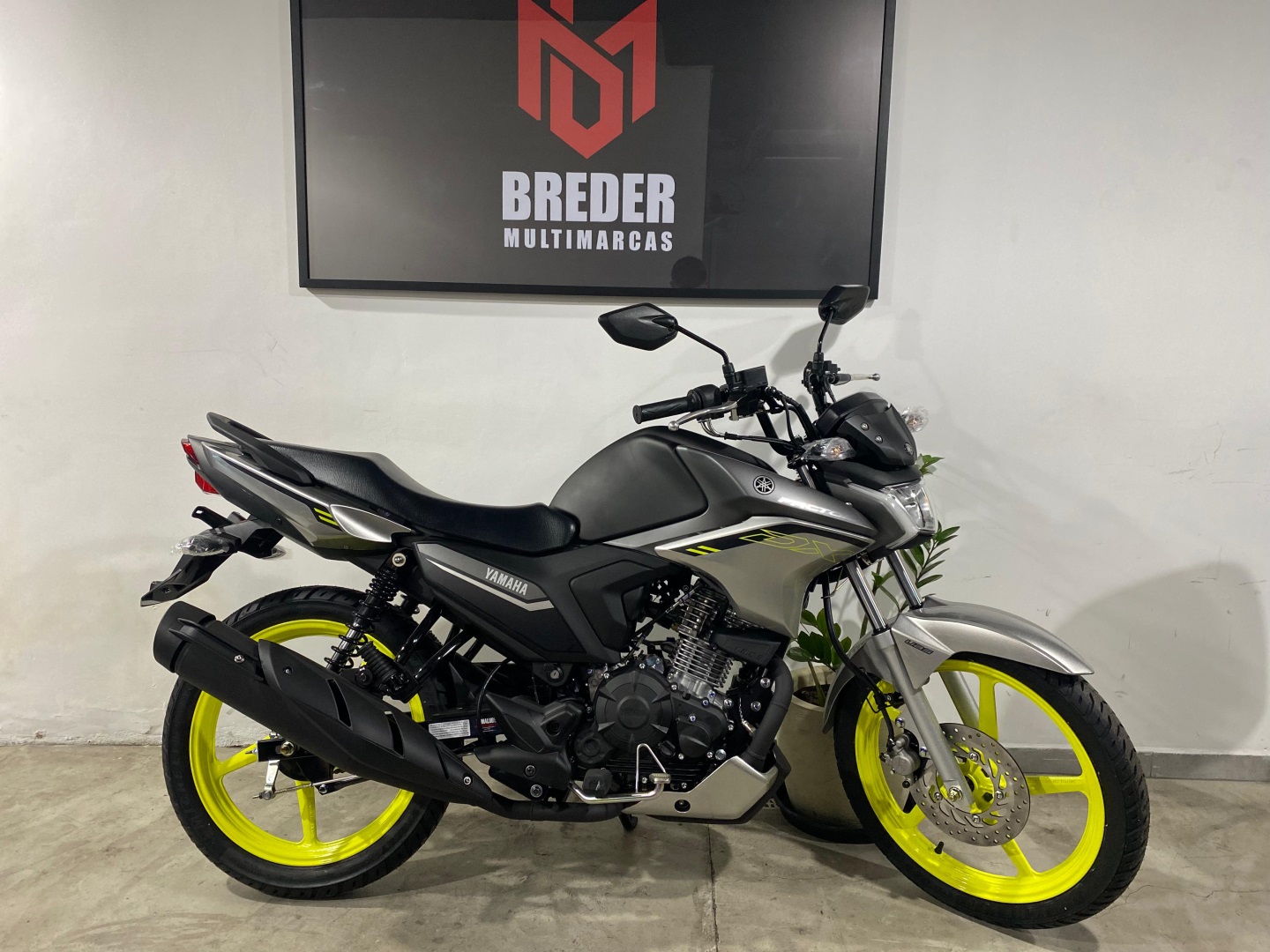 YAMAHA YBR 150 FACTOR DX YBR 150 FACTOR DX