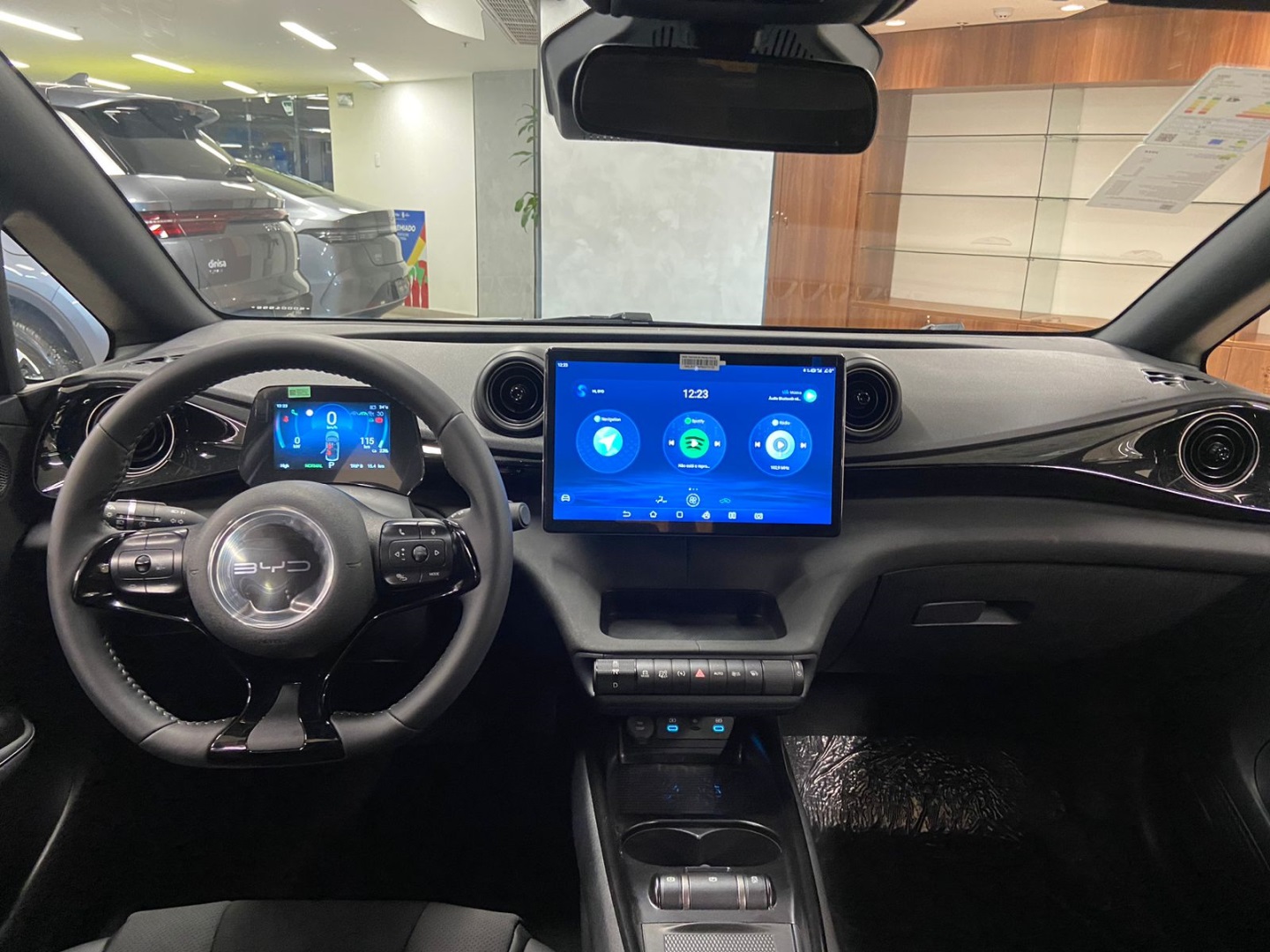 DOLPHIN 60,5 KW ELÉTRICO PLUS7