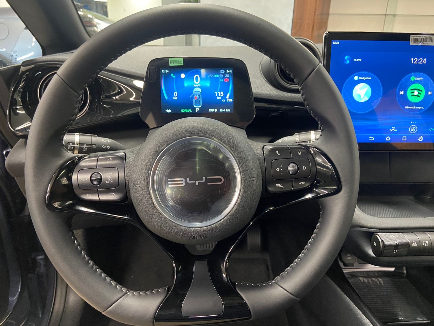 DOLPHIN 60,5 KW ELÉTRICO PLUS8