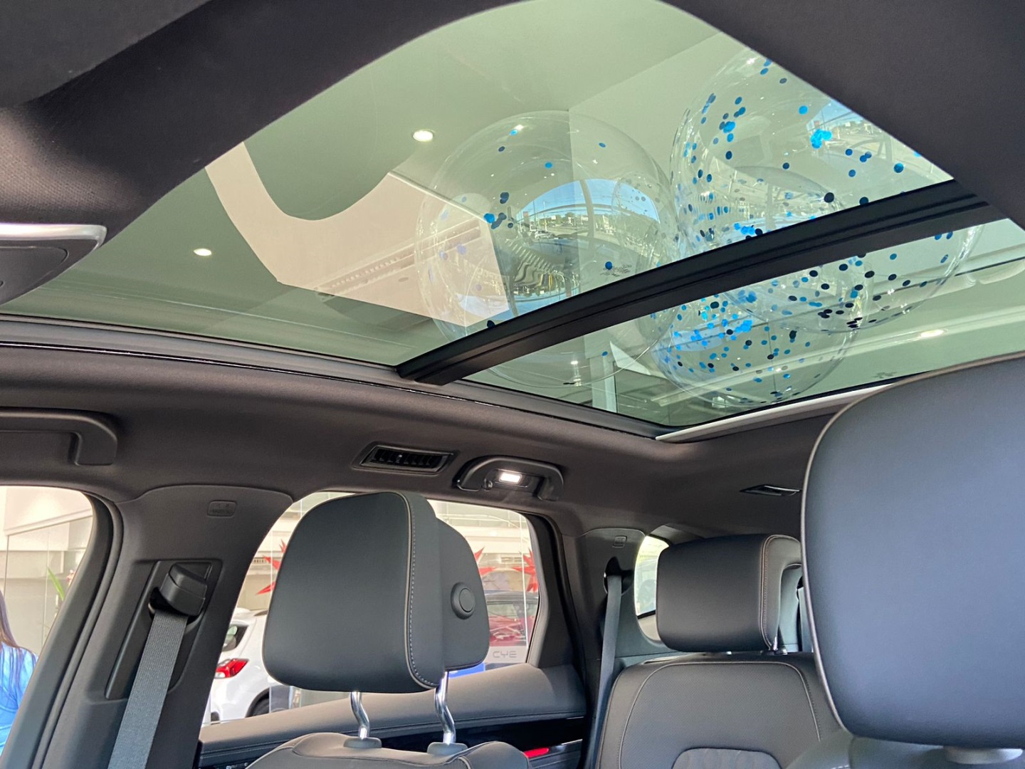 TAN EV 4X4 ELÉTRICO12