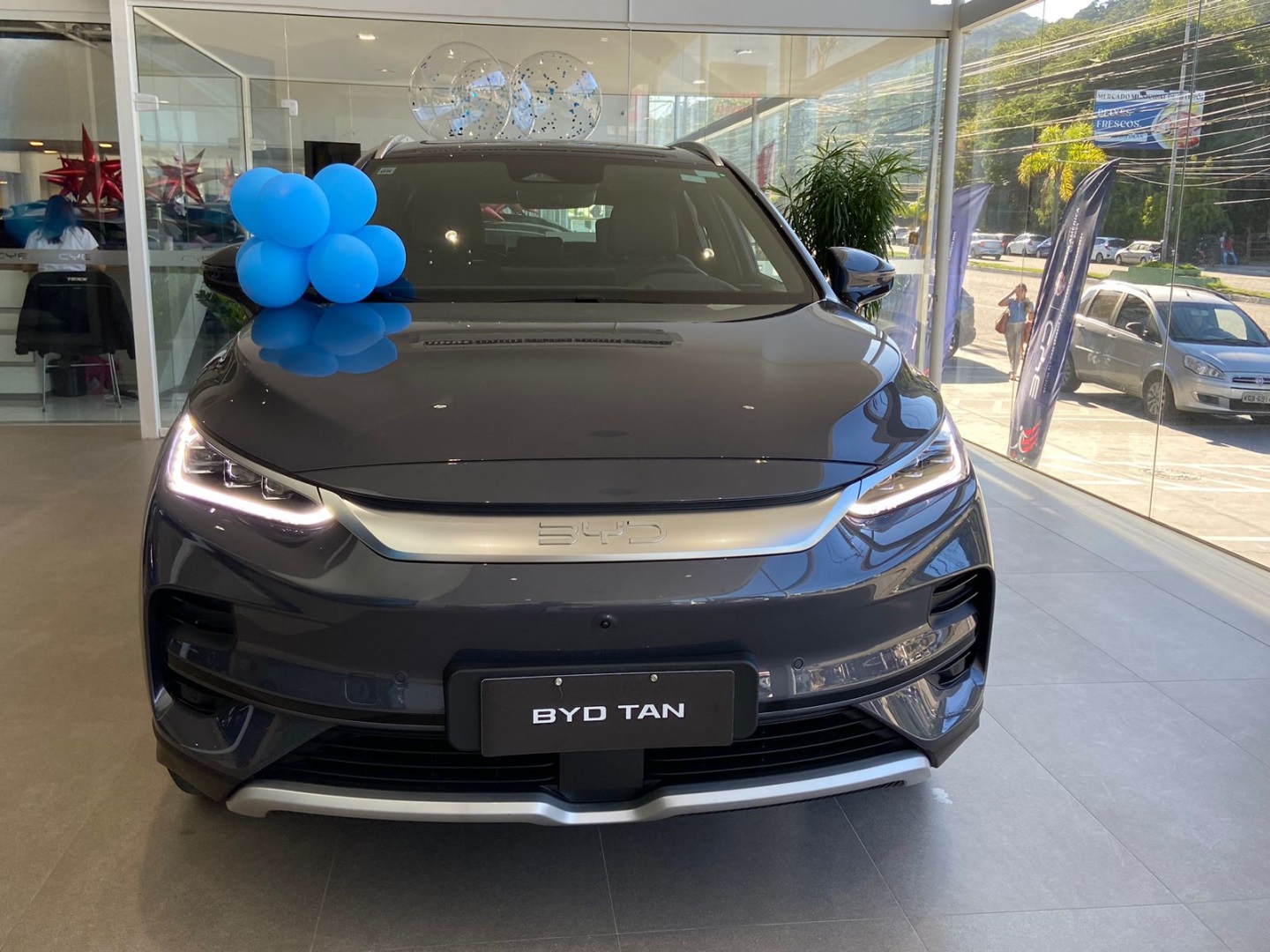 TAN EV 4X4 ELÉTRICO2