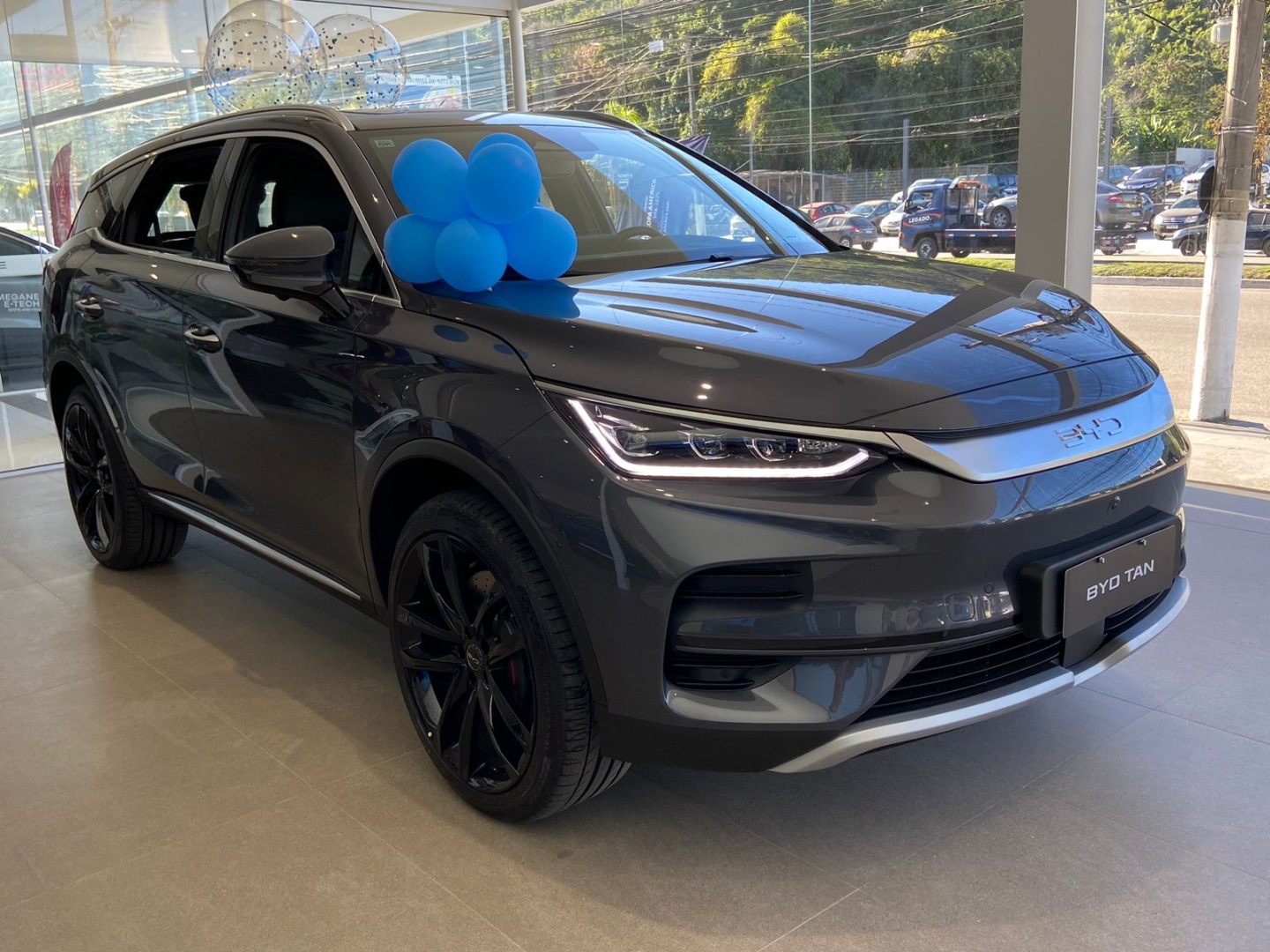 TAN EV 4X4 ELÉTRICO4