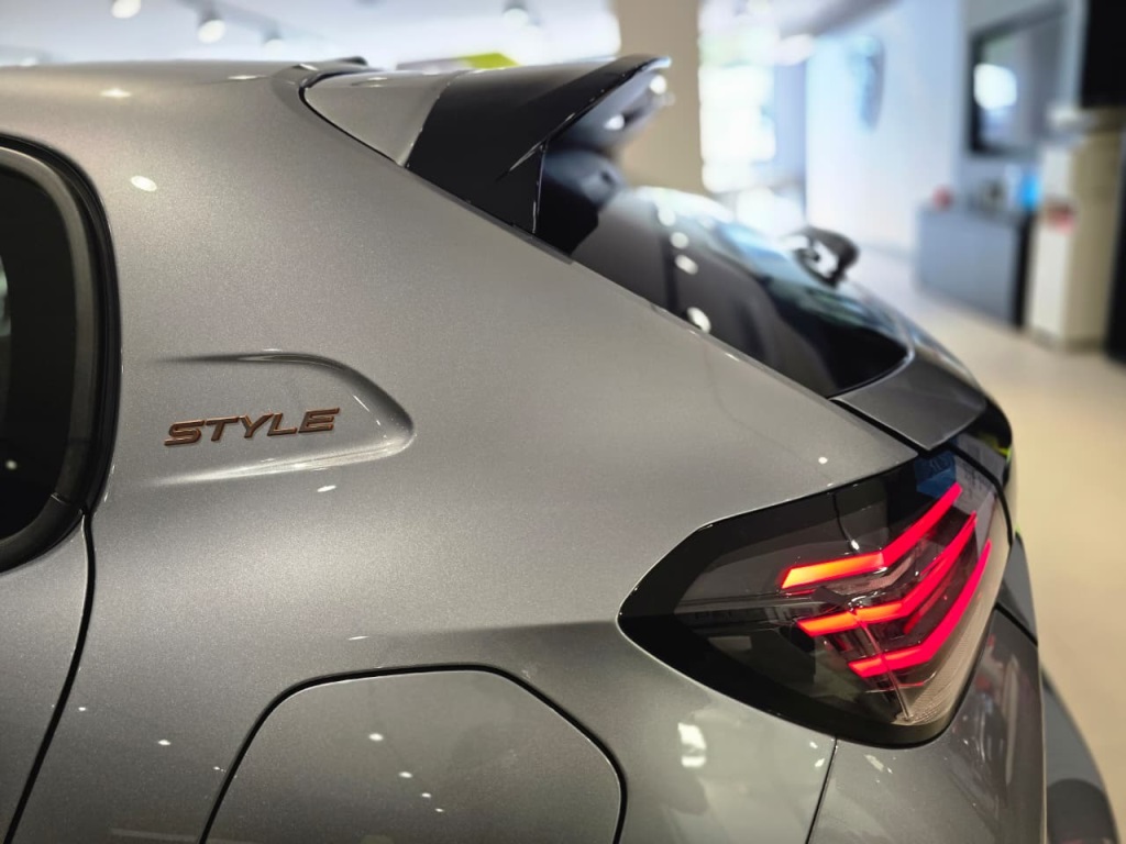 208 1.0 FIREFLY FLEX STYLE MANUAL3