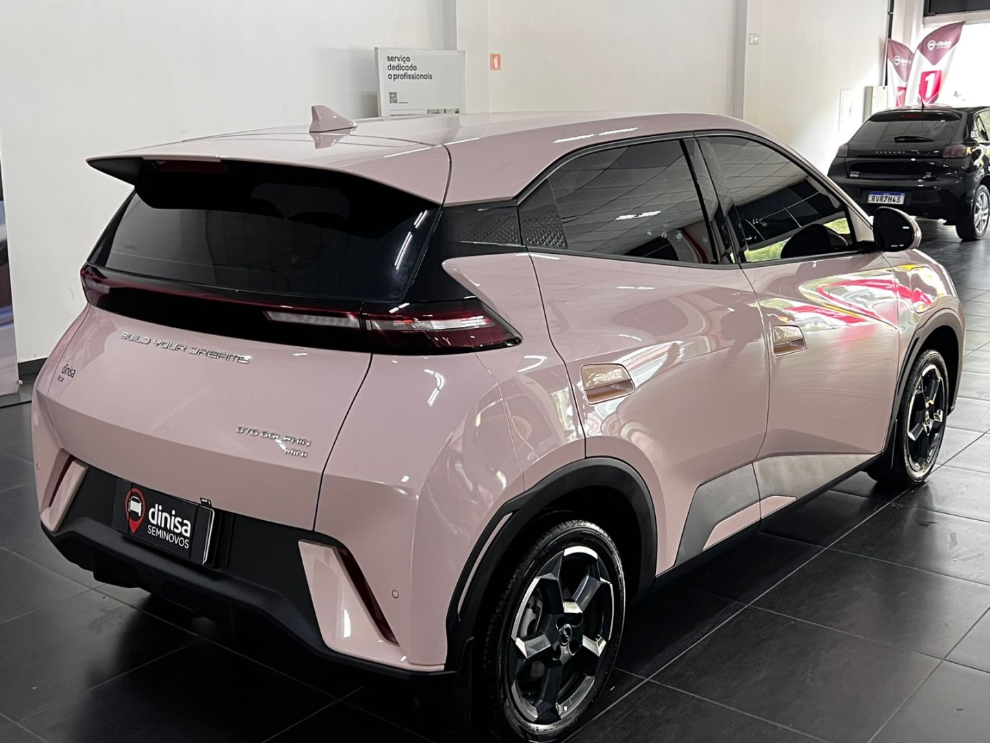 DOLPHIN MINI 38 KW ELÉTRICO