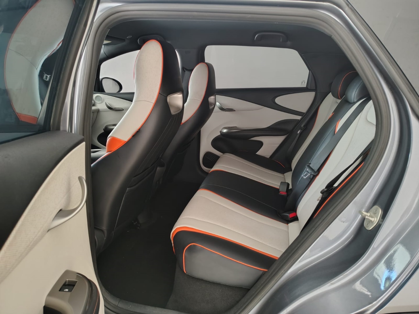 DOLPHIN 44,9 KW ELÉTRICO GS
