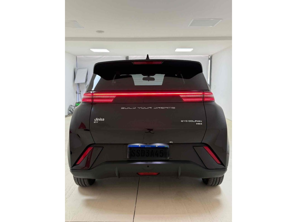 DOLPHIN MINI GS EV