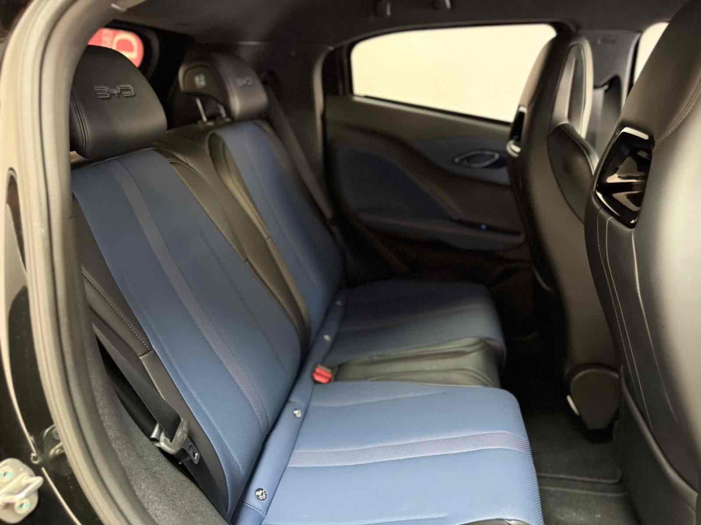 DOLPHIN MINI GS EV