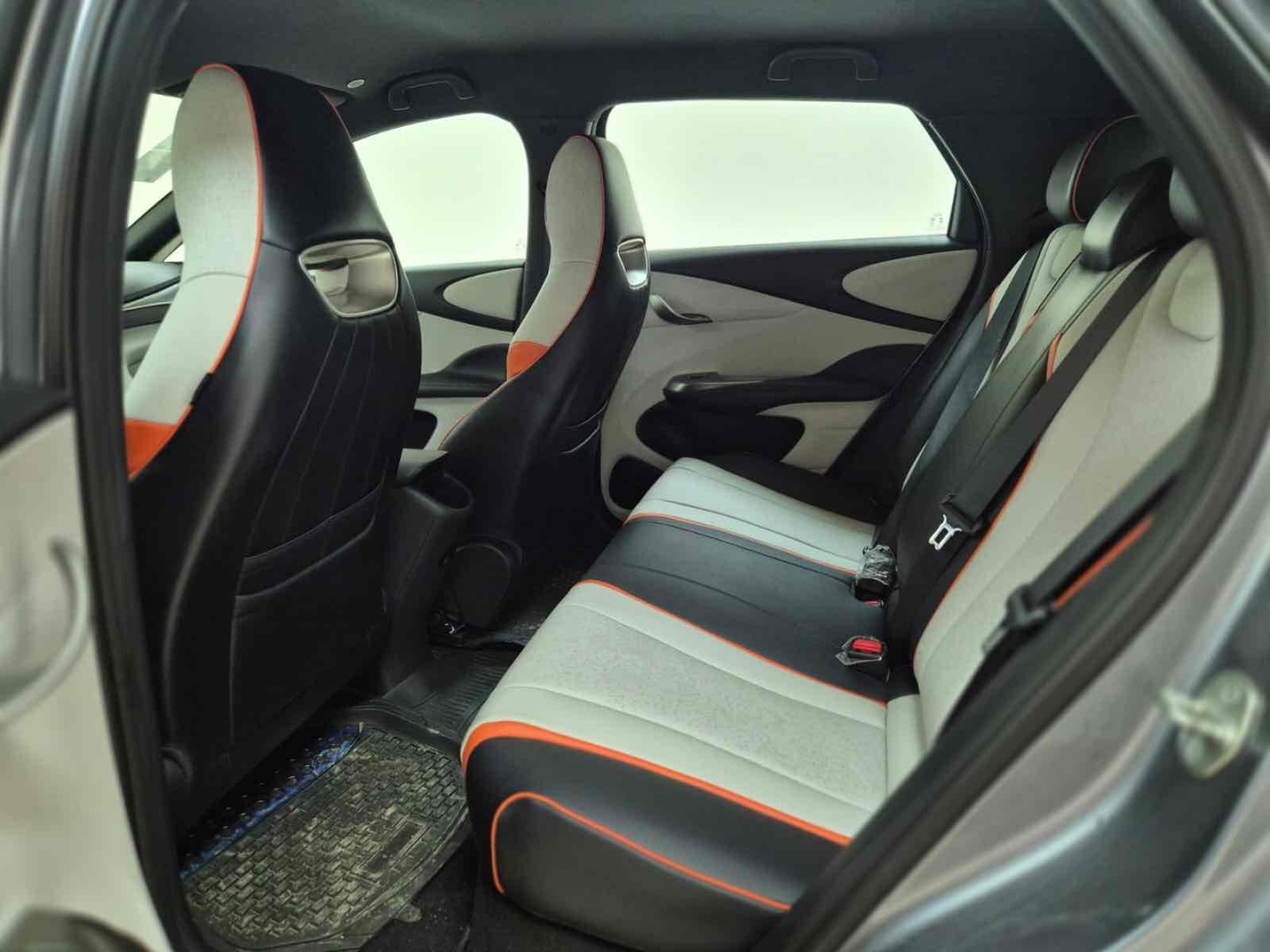 DOLPHIN 44,9 KW ELÉTRICO GS9