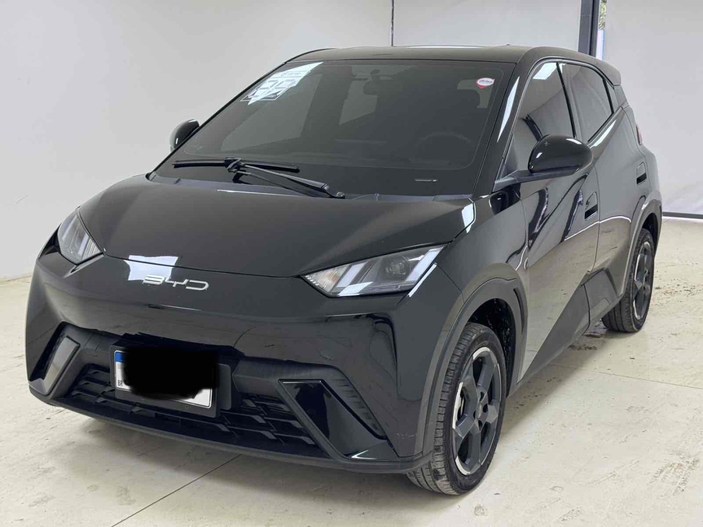 DOLPHIN MINI 38 KW ELÉTRICO2