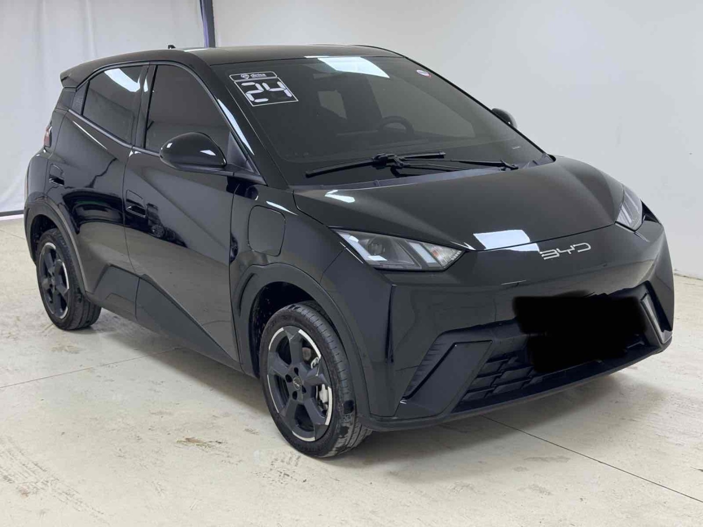 DOLPHIN MINI 38 KW ELÉTRICO1