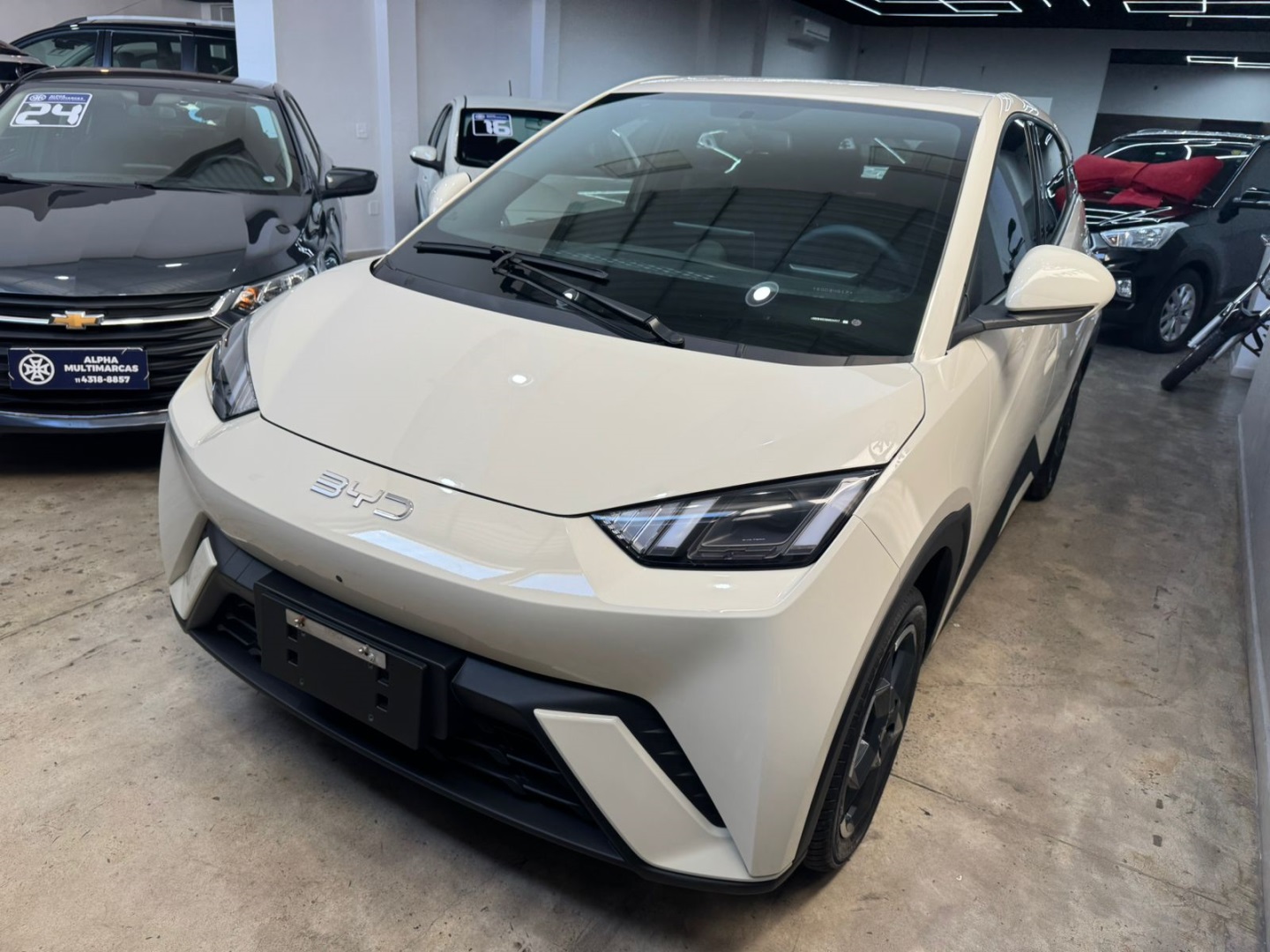 BYD DOLPHIN MINI