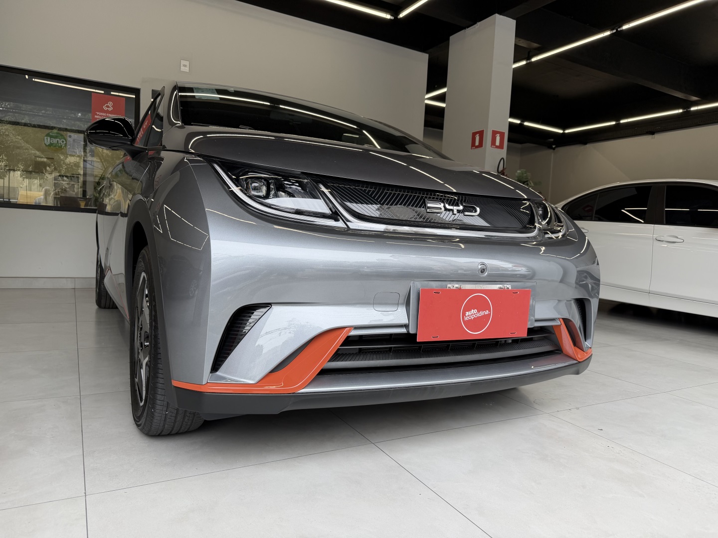 BYD DOLPHIN