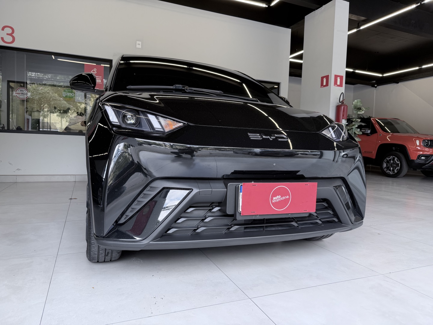 BYD DOLPHIN MINI