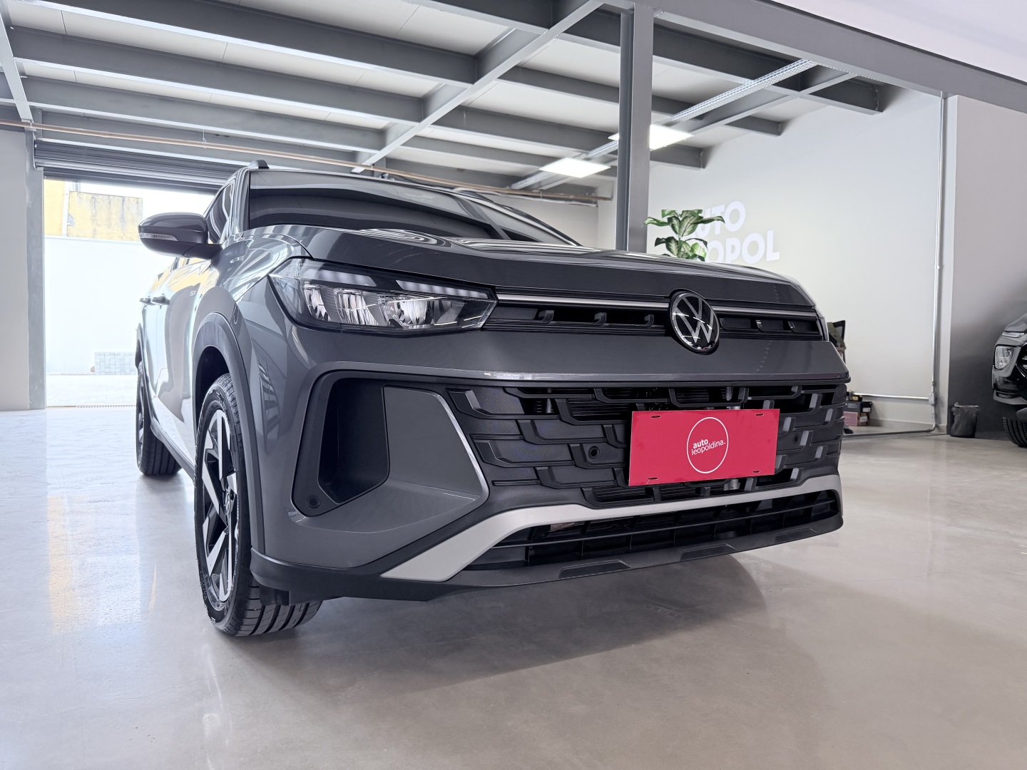 VOLKSWAGEN TERA