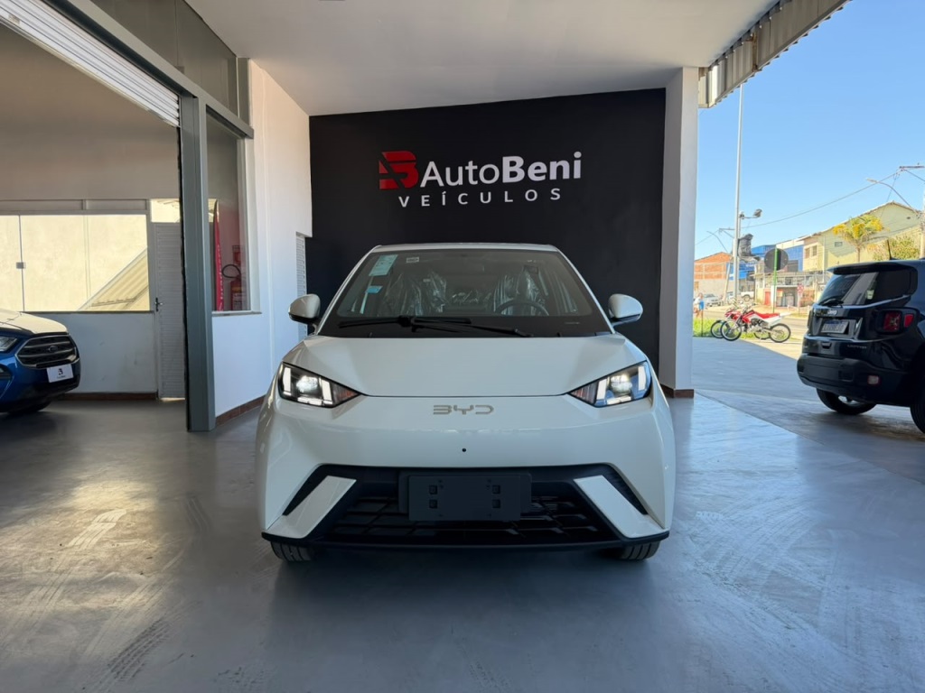 BYD DOLPHIN MINI