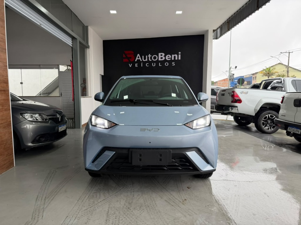 BYD DOLPHIN MINI