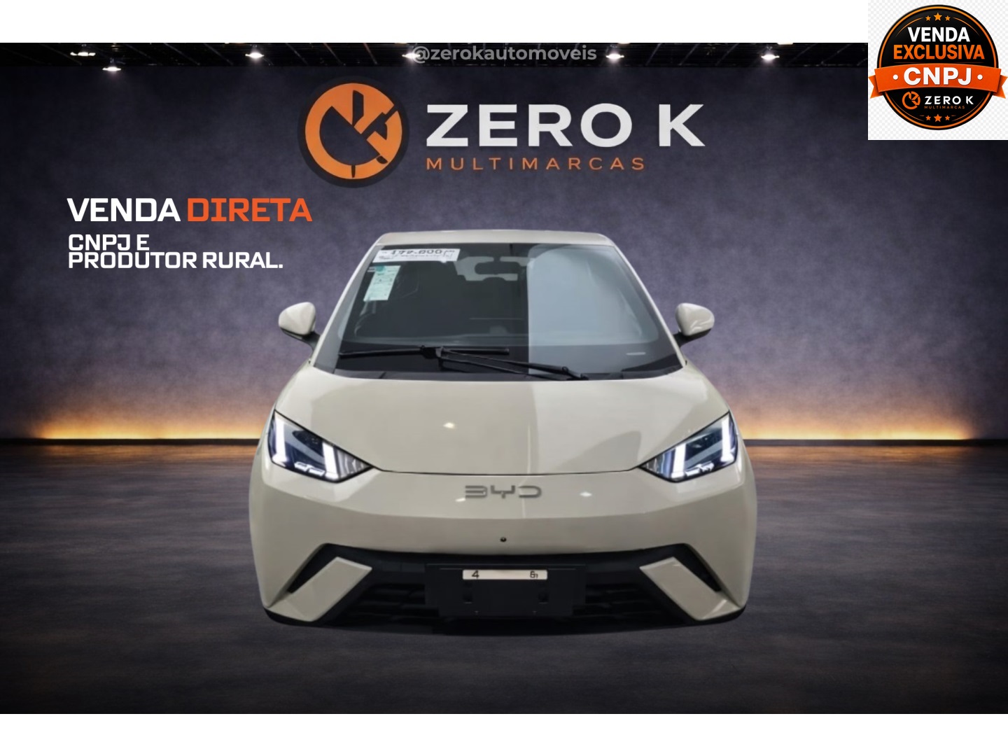 BYD DOLPHIN MINI 38 KW ELÉTRICO GL