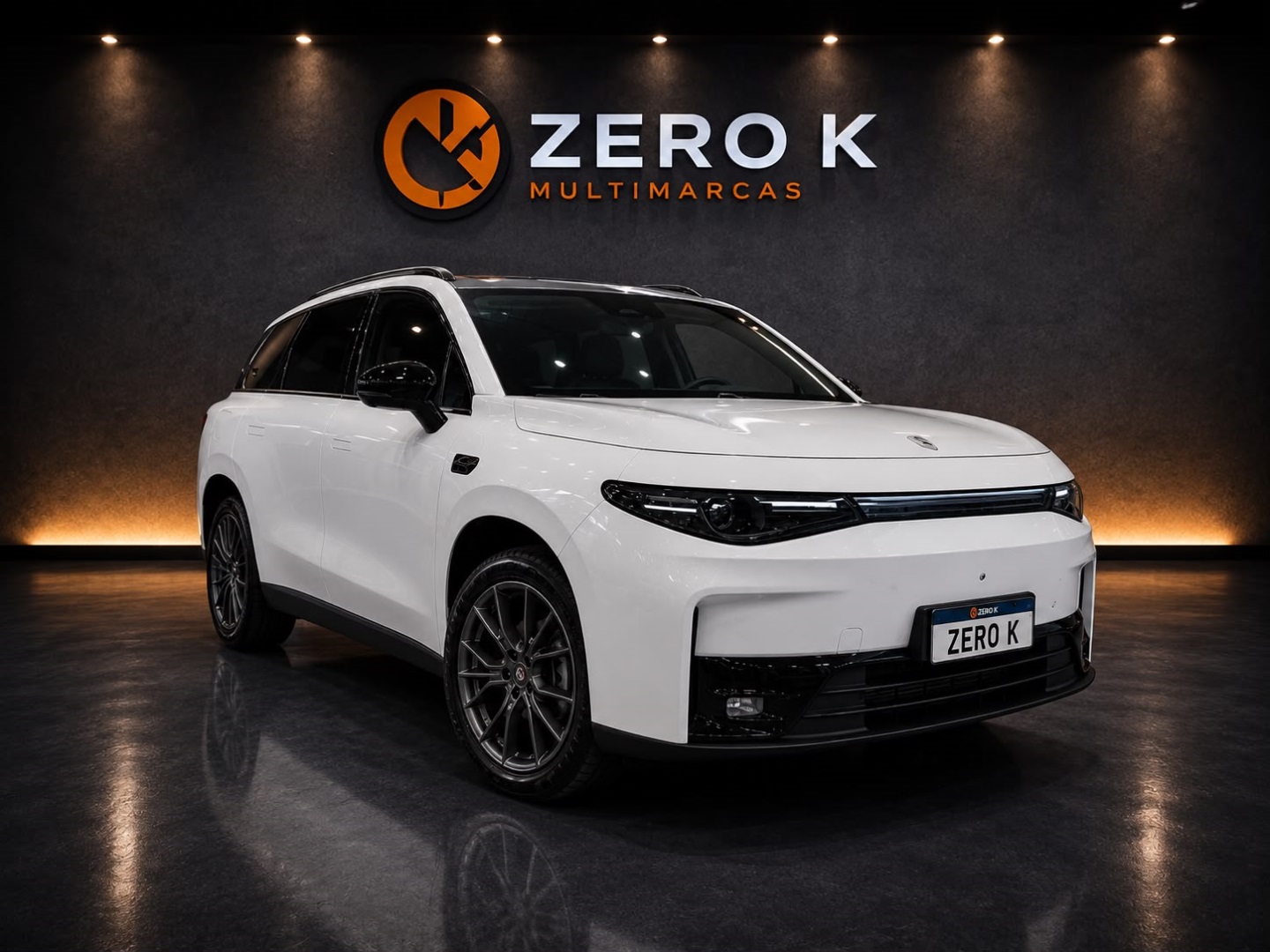 LEAPMOTOR C10