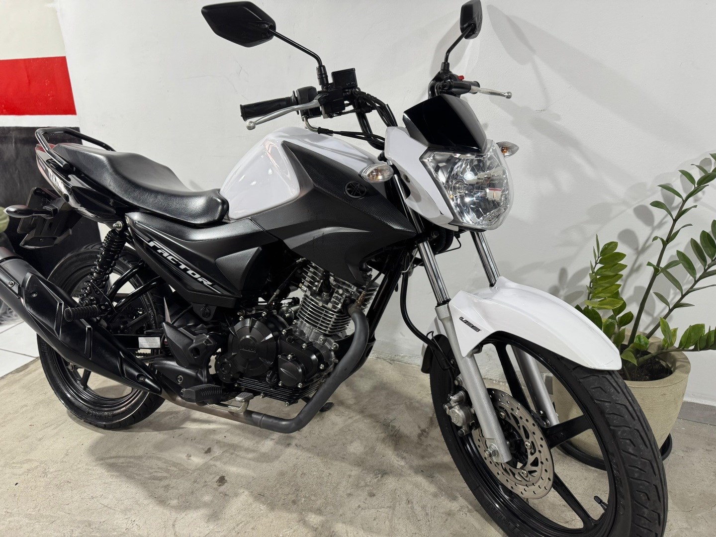 YAMAHA YBR 150 FACTOR ED