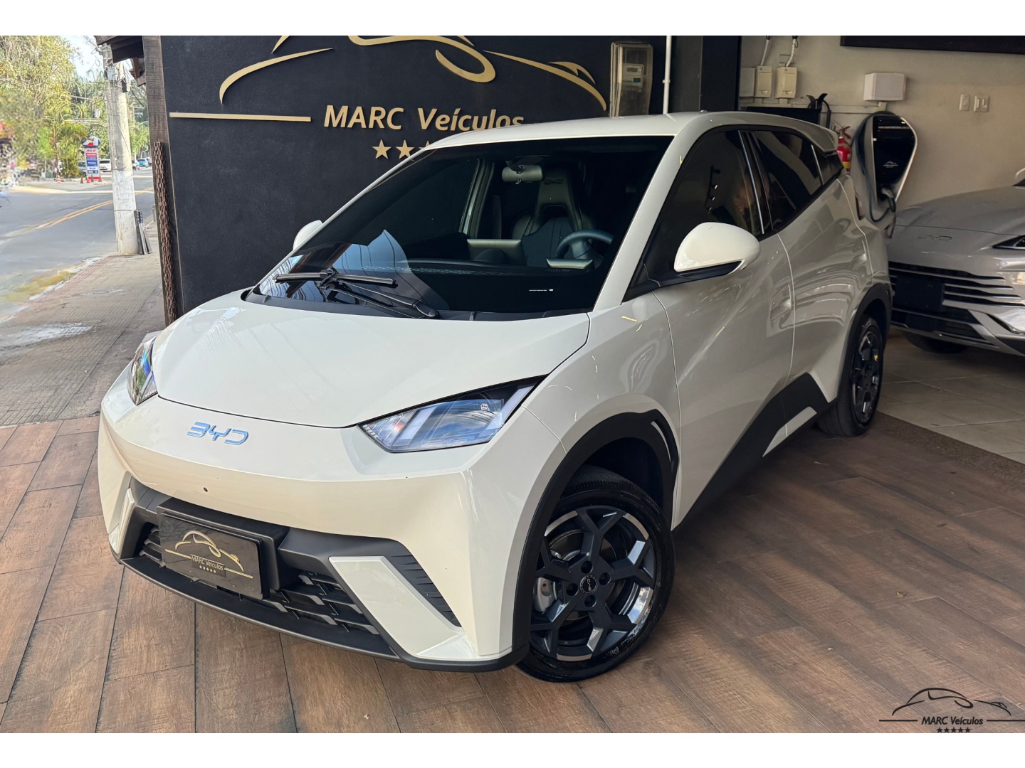 BYD DOLPHIN MINI