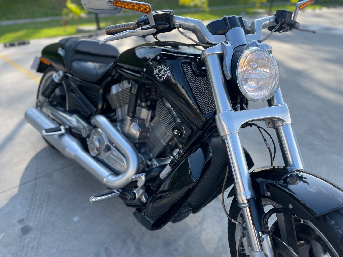 HARLEY-DAVIDSON V-ROD 1250CC MUSCLE VRSCF