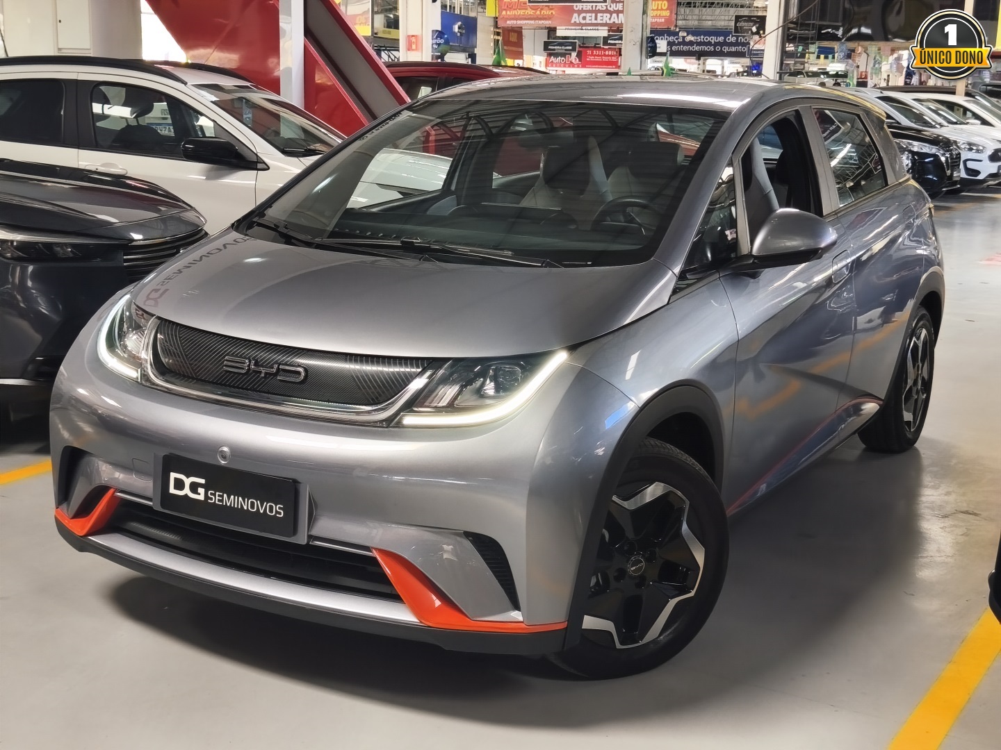 BYD DOLPHIN