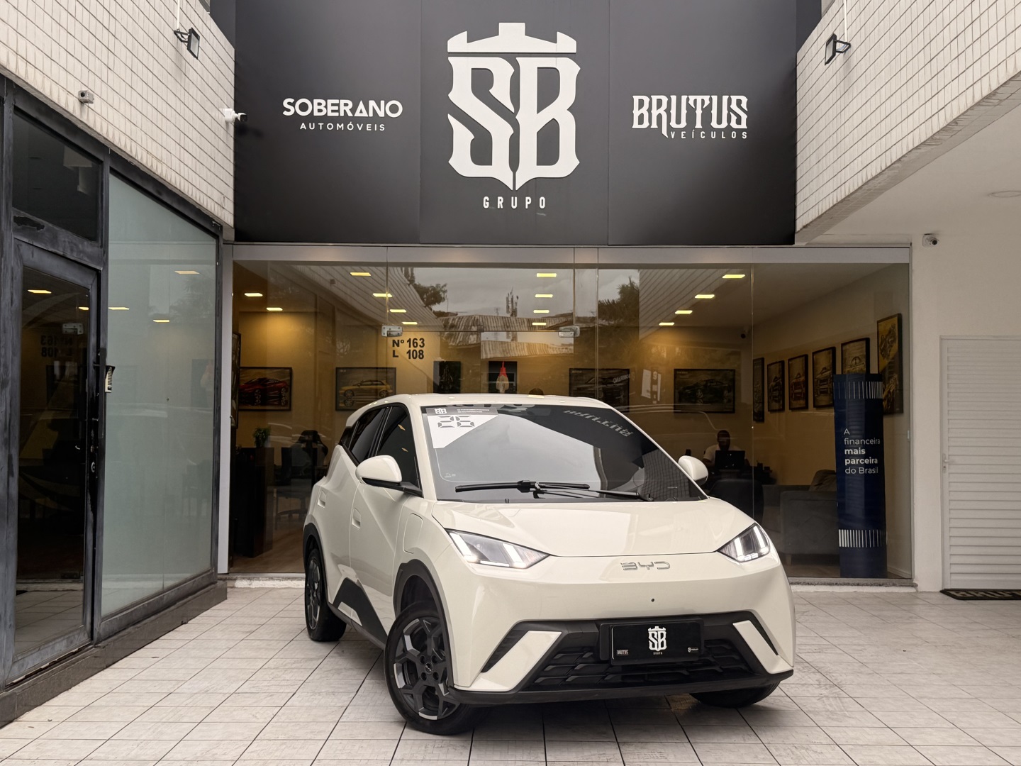 BYD DOLPHIN MINI