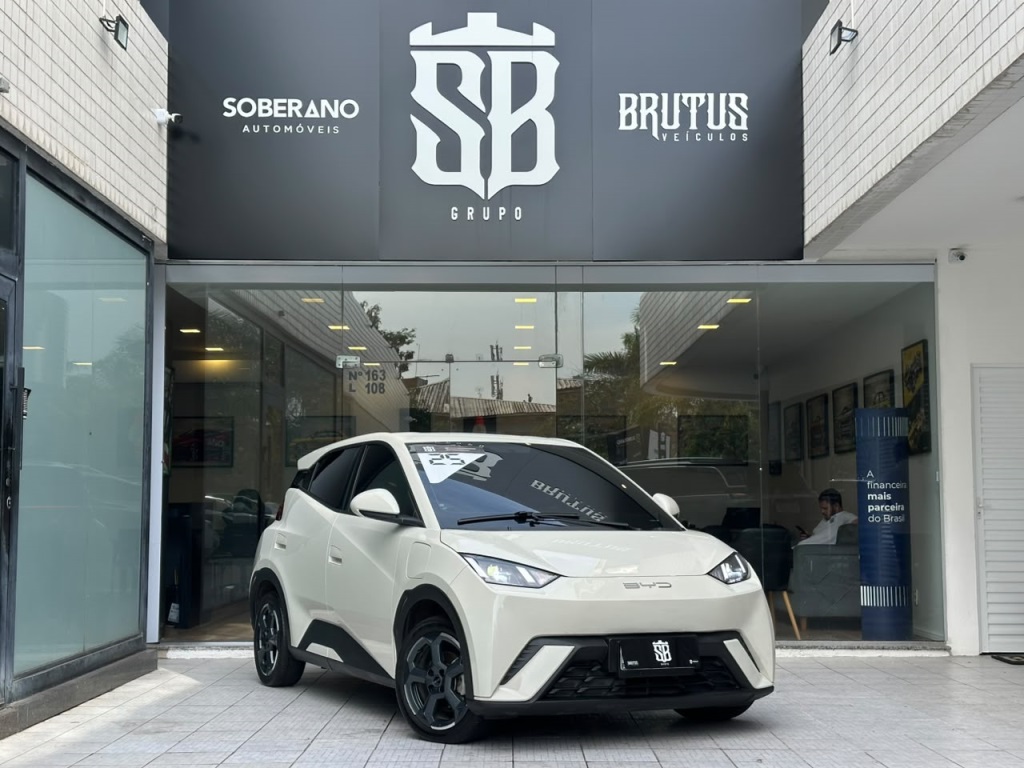 BYD DOLPHIN MINI
