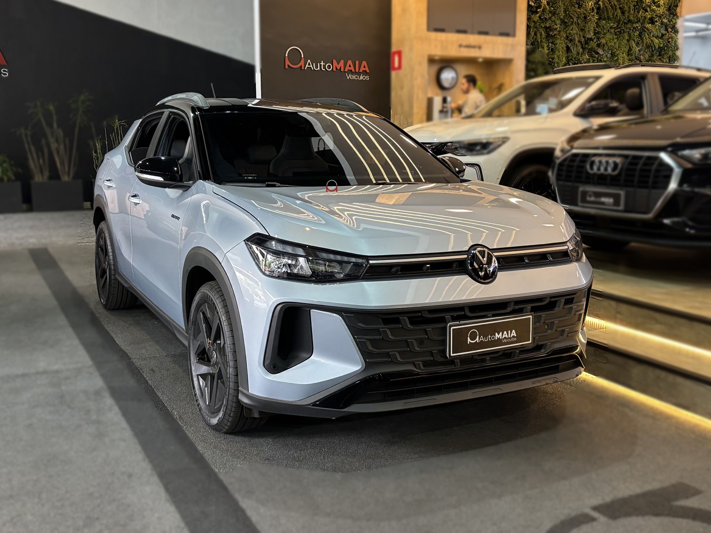 VOLKSWAGEN TERA