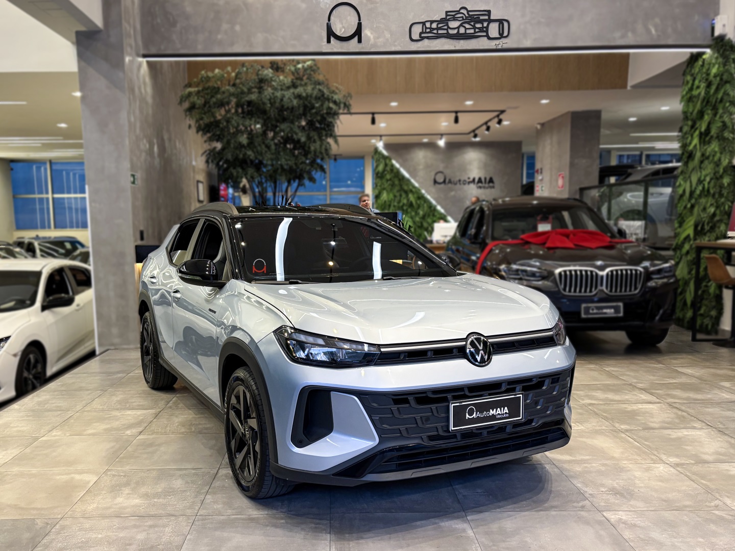 VOLKSWAGEN TERA