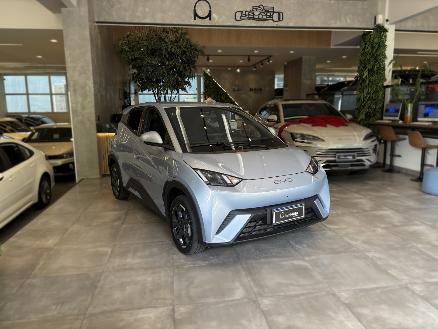 BYD DOLPHIN MINI