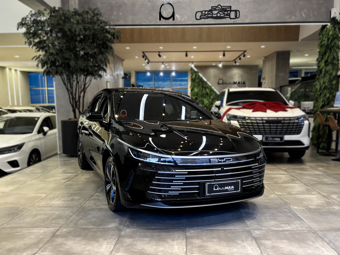 BYD KING
