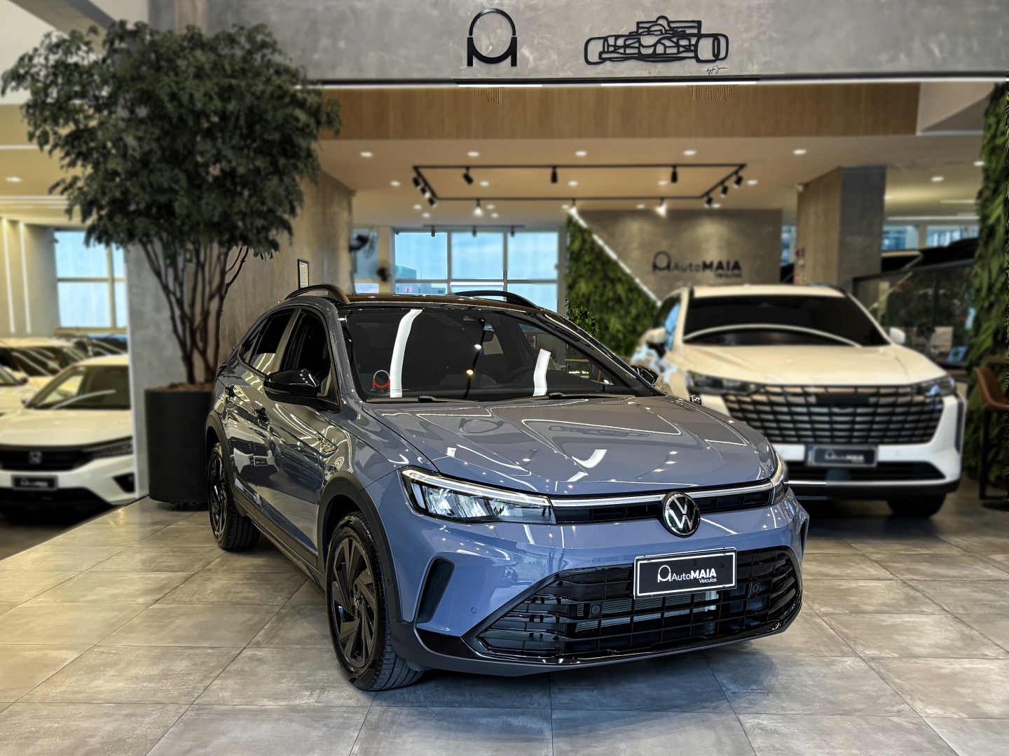 VOLKSWAGEN NIVUS