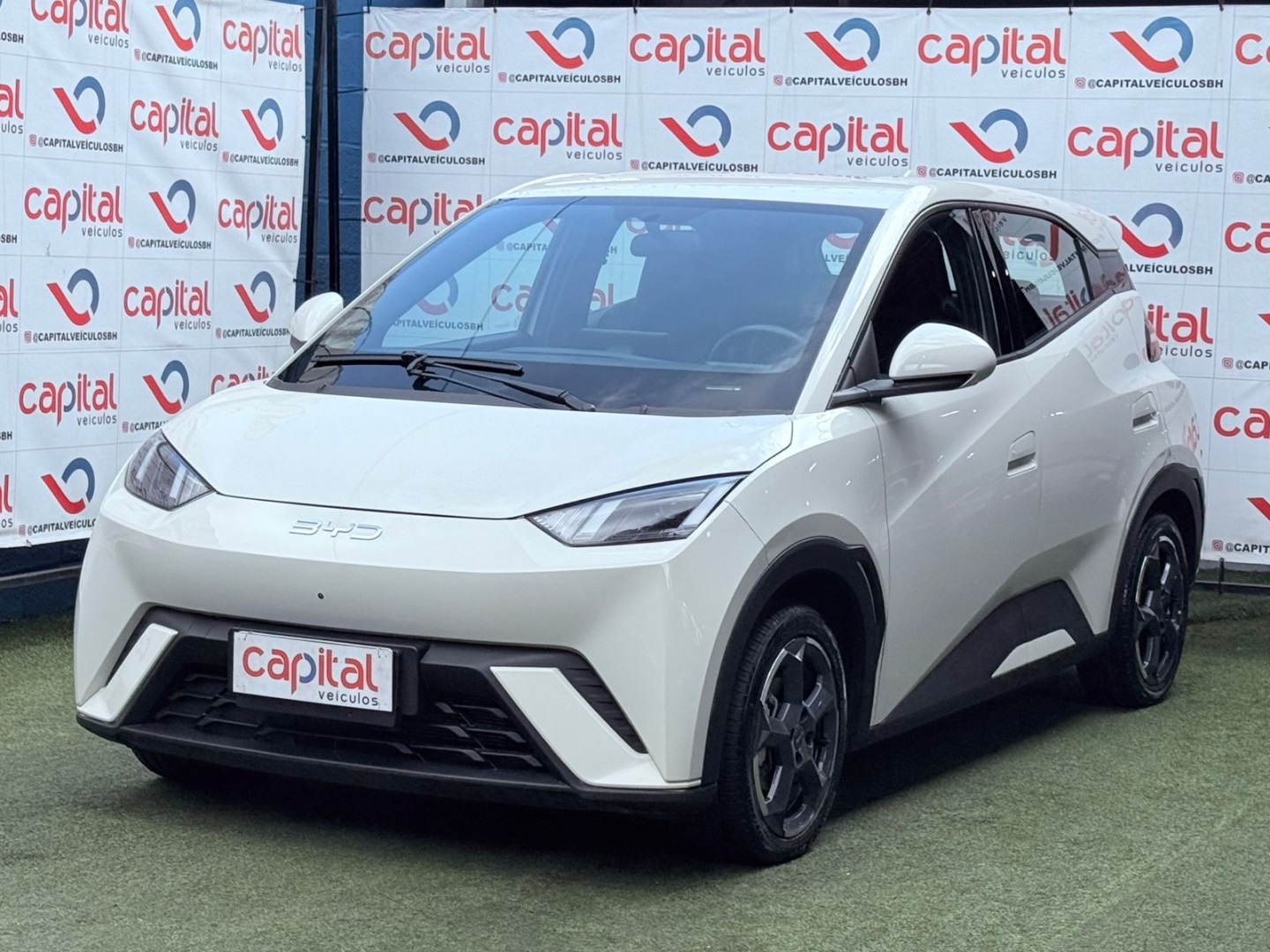 BYD DOLPHIN MINI
