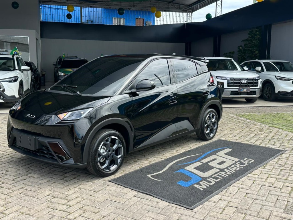 BYD DOLPHIN MINI