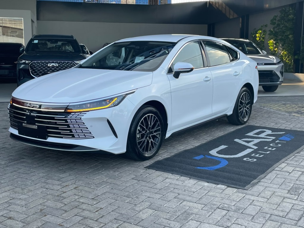 BYD KING