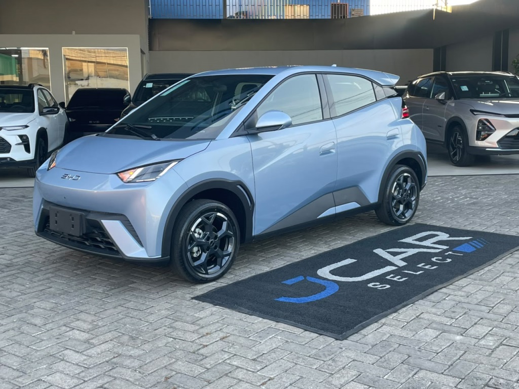 BYD DOLPHIN MINI