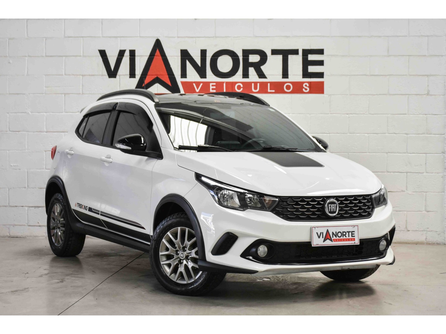 FIAT ARGO 1.3 FIREFLY FLEX TREKKING MANUAL