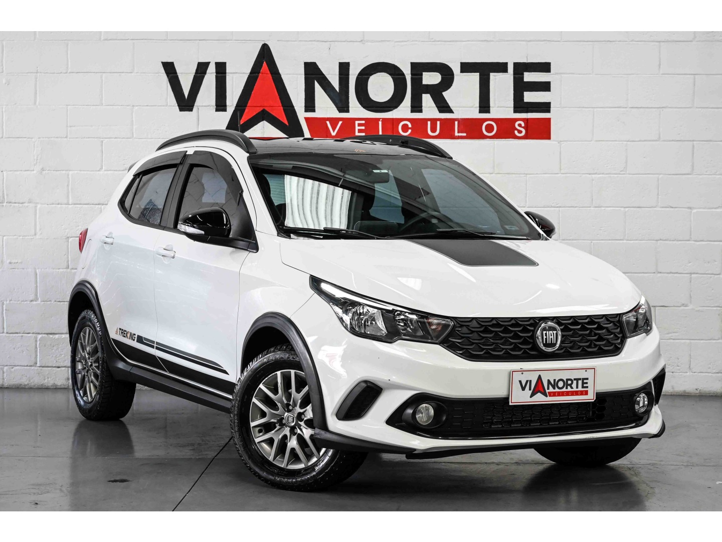 FIAT ARGO 1.3 FIREFLY FLEX TREKKING MANUAL