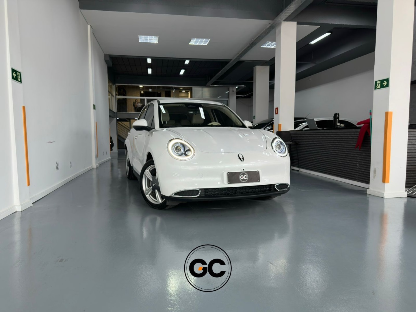 GWM ORA 03 48 KW ELÉTRICO SKIN