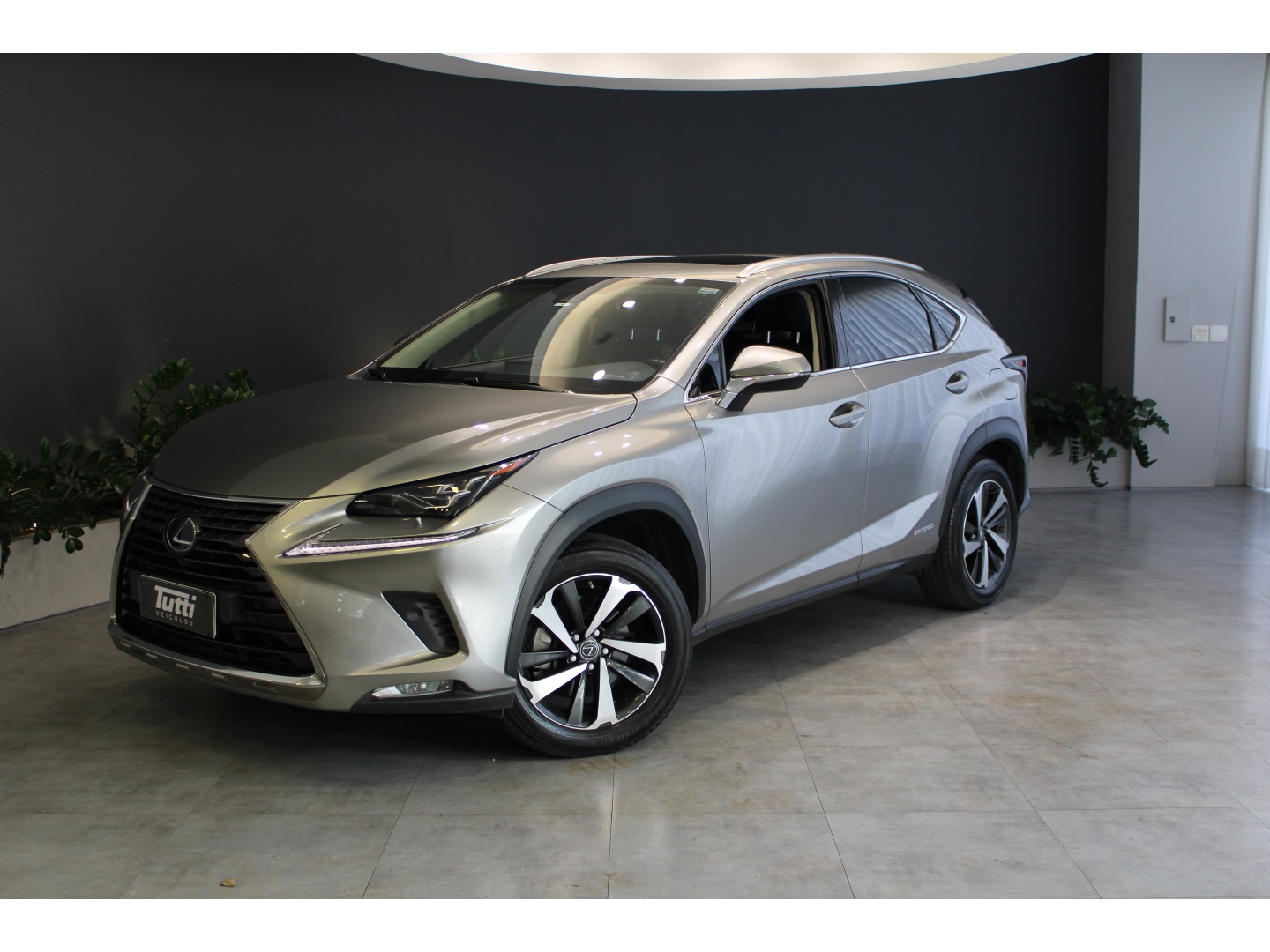 LEXUS NX 300h 2.5 16V VVT-I HYBRID LUXURY CVT AWD