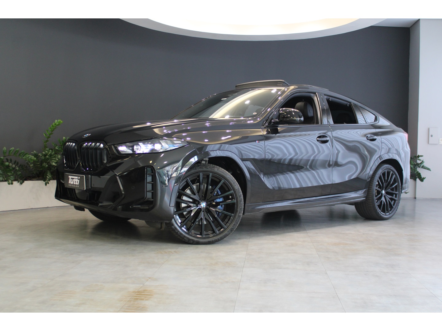 BMW X6 2024