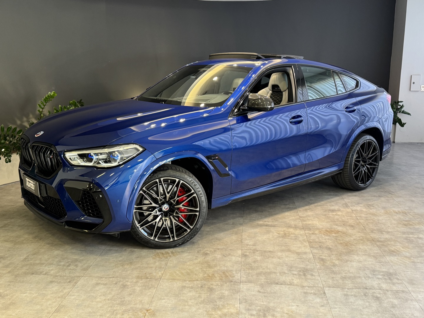 BMW X6 2023