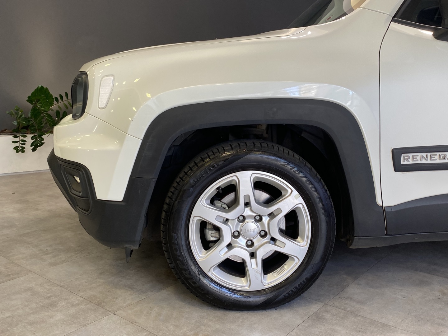 Jeep RENEGADE 2025