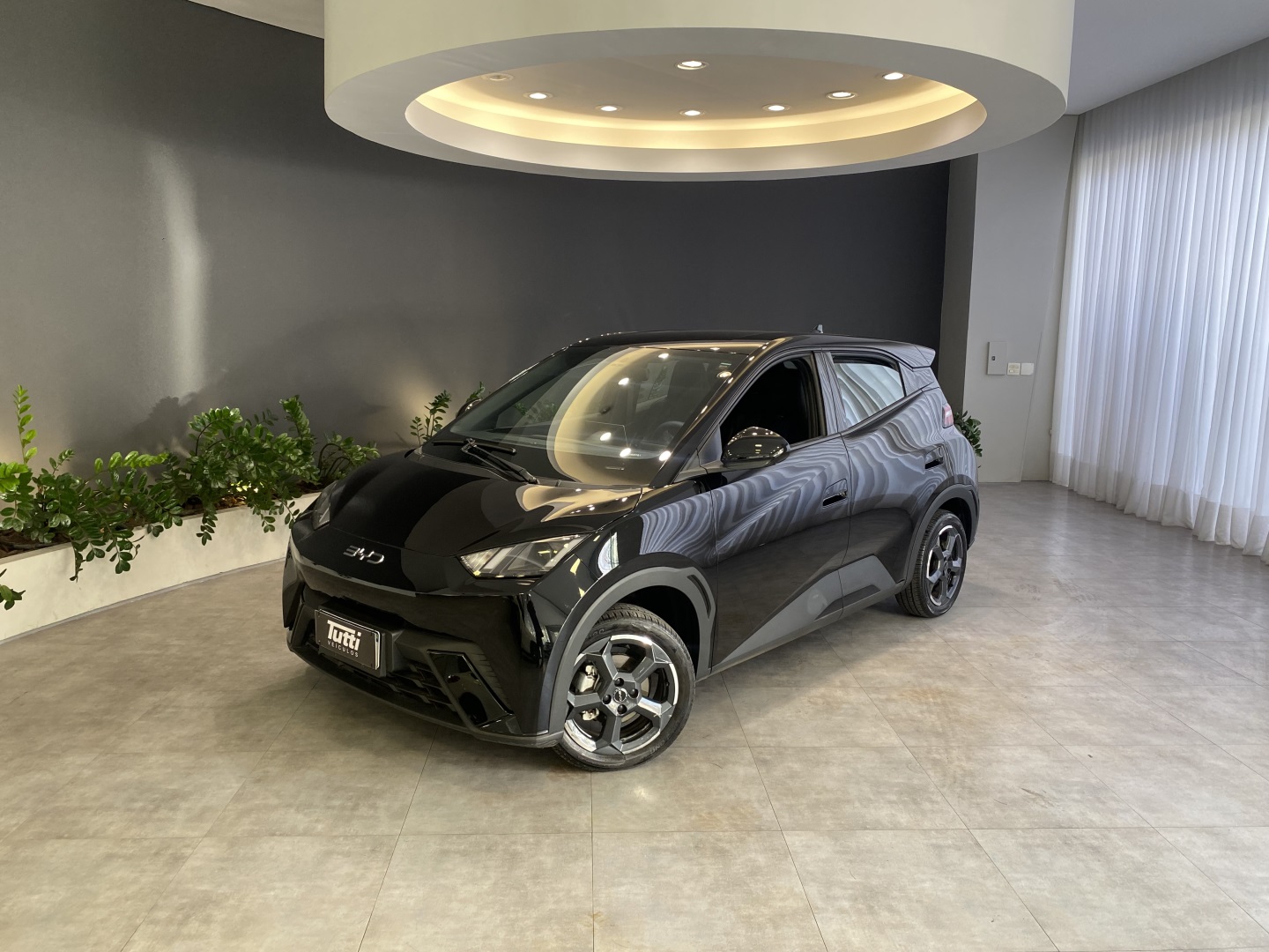 BYD DOLPHIN MINI GS EV