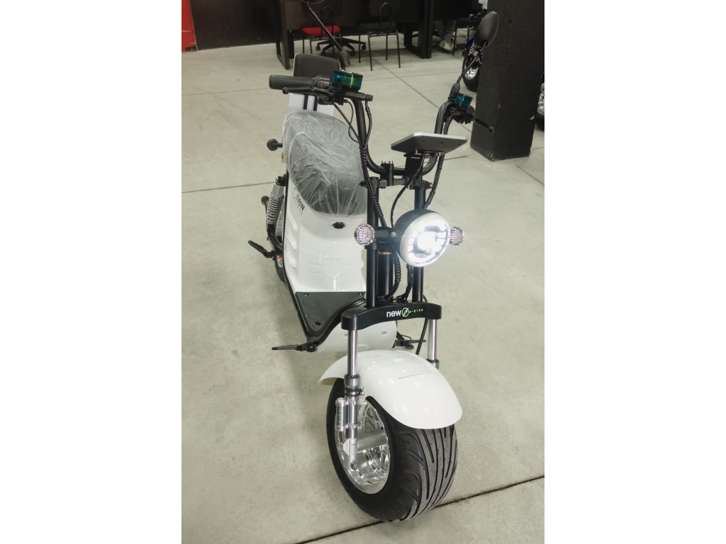 MOTOMASTER X13 1000W
