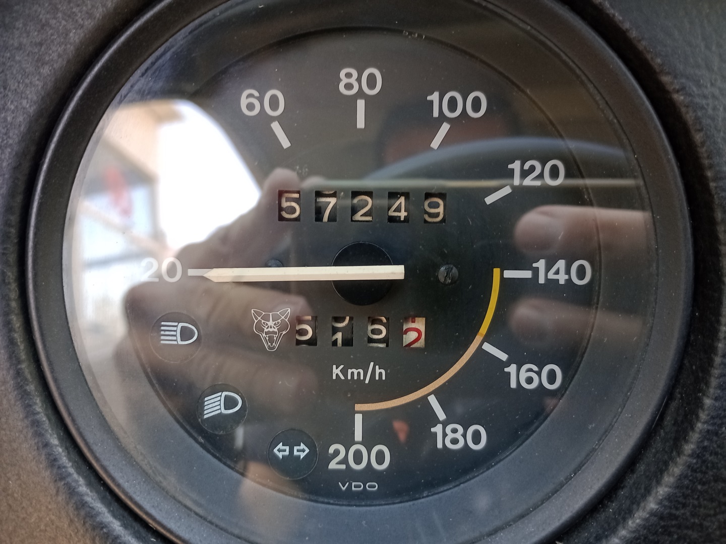 19