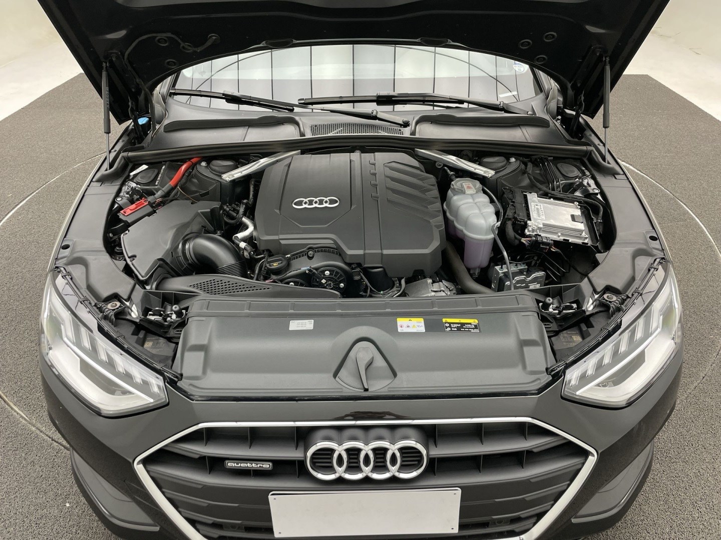 26