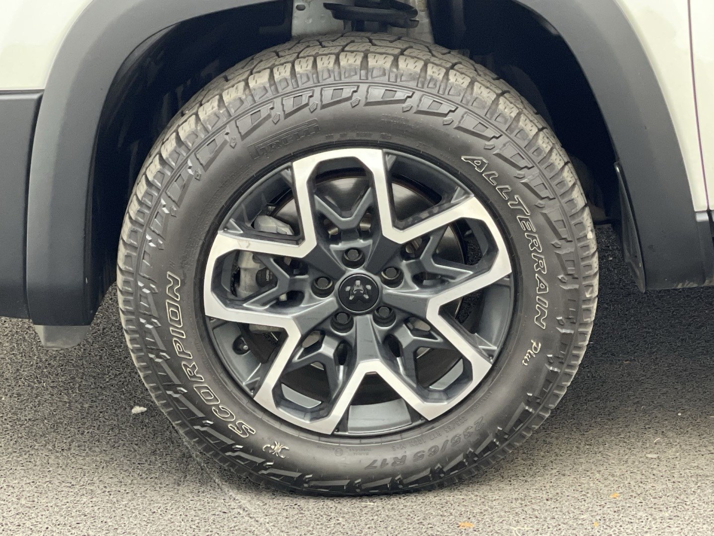 41