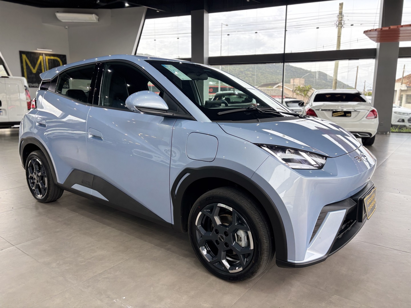 BYD DOLPHIN MINI